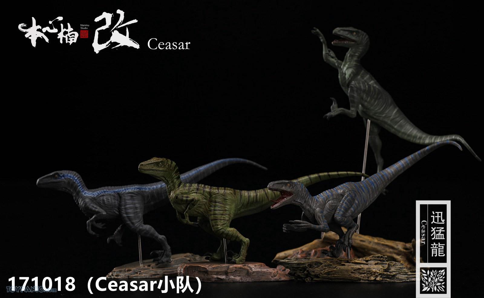 nanmu raptor squad