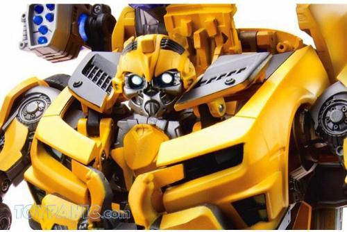 leader class bumblebee